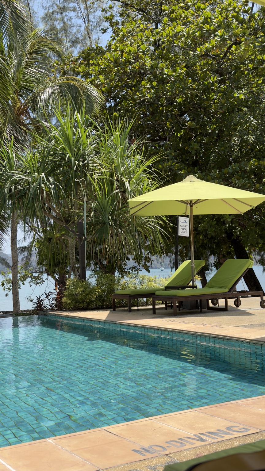 A turquoise resort pool with green loungers and tropical trees
